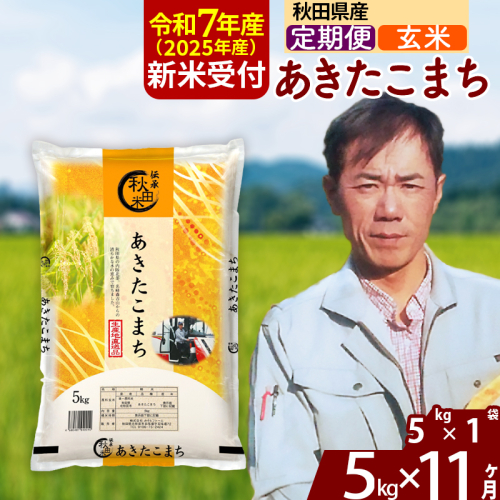 ※令和7年産 新米予約※《定期便11ヶ月》秋田県産 あきたこまち 5kg【玄米】(5kg小分け袋) 2025年産 お届け時期選べる お届け周期調整可能 隔月に調整OK お米 みそらファーム 1111538 - 秋田県北秋田市