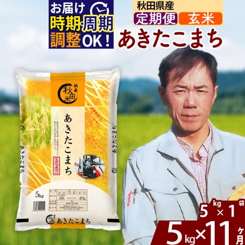 ※令和7年産※《定期便11ヶ月》秋田県産 あきたこまち 5kg【玄米】(5kg小分け袋) 2025年産 お届け時期選べる お届け周期調整可能 隔月に調整OK お米 みそらファーム 1111538 - 秋田県北秋田市