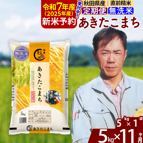 ※令和6年産 新米予約※《定期便11ヶ月》秋田県産 あきたこまち 5kg【無洗米】(5kg小分け袋) 2024年産 お届け周期調整可能 隔月に調整OK お米 みそらファーム 1111589 - 秋田県北秋田市