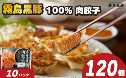訳あり 霧島黒豚肉100％ 肉餃子 120個 12個×10パック 冷凍 小分け 冷凍餃子 大容量餃子 国産原料餃子 簡単調理餃子 ぎょうざ ギョーザ（ 肉 豚肉 九州産黒豚 10000円 加工食品 お手軽 簡単調理 惣菜 絶品 おかず 弁当 おつまみ 晩ごはん ) 山口県 下関市 肉特集
