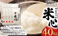 令和5年産 特別栽培米ゆめぴりか 5年保存個人用備蓄米『米心』40kg（約4ヶ月の備蓄）