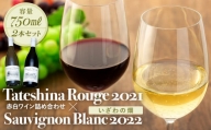 タテシナルージュ2021・ソーヴィニョンブラン2022 赤白ワイン詰め合わせ