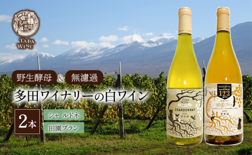 【 野生酵母 ＆ 無濾過 】 混醸ワイン ＆ シャルドネ 100%の ワイン 白2本 セット 多田ワイナリー 白ワイン お酒 ミネラル感 ミディアムボディ 白ワインセット  1112630 - 北海道上富良野町