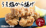 うま塩から揚げ 250g×4パック