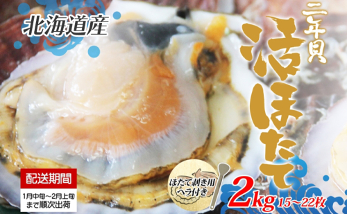 北海道産 活ほたて 2年貝 約 2kg 15枚～22枚 2026年1月中旬～2月上旬頃お届け 殻付き 貝付き 帆立 ホタテ ほたて 貝 魚介 海産 海鮮 貝柱 噴火湾 刺身 焼き フライ 生産者支援 産地直送 送料無料 魚介類 魚貝類  111278 - 北海道洞爺湖町