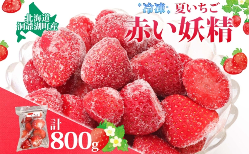 役に立ちます 冷凍カット果物 いちご100g×8袋 111279 - 北海道洞爺湖町