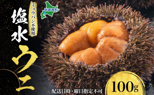 北海道 塩水 ウニ 100g 1パック 1月下旬頃～3月中旬頃まで順次出荷 バフン ムラサキ うに 雲丹 海鮮 ミョウバン不使用 小川商店  111285 - 北海道洞爺湖町