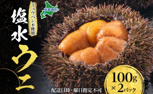 北海道 塩水 ウニ 100g 2パック 1月下旬頃～3月中旬頃まで順次出荷 バフン ムラサキ うに 雲丹 海鮮 ミョウバン不使用 小川商店 111286 - 北海道洞爺湖町