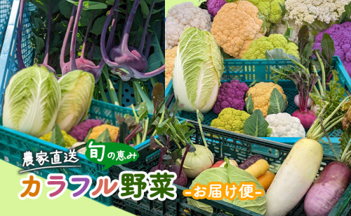 農家直送 旬の恵み カラフル野菜 お届け便 野菜 詰め合わせ 野菜セット カリフラワー コールラビ かぶ ブロッコリー 旬 セット おまかせ 1112956 - 滋賀県湖南市