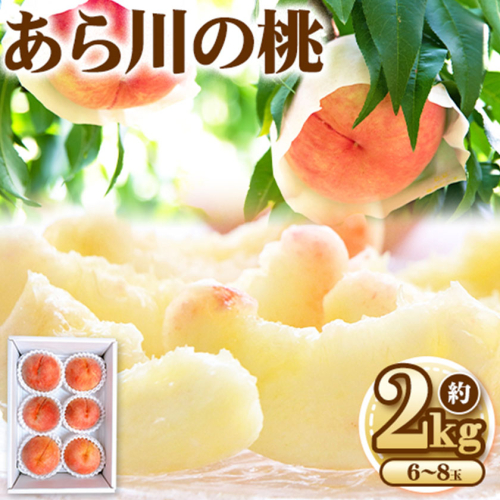 【予約受付】 あら川の桃 約2kg 6-8玉 室谷青果 《2024年6月下旬-8月中旬頃出荷》 和歌山県 紀の川市 1113130 - 和歌山県紀の川市