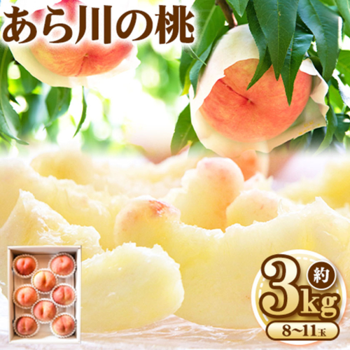 【予約受付】 あら川の桃 約3kg 8-11玉 室谷青果 《2024年6月下旬-8月中旬頃出荷》 和歌山県 紀の川市 1113131 - 和歌山県紀の川市