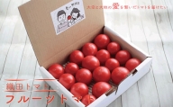 織田トマト フルーツトマト 約1kg 高知 真っ赤なフルーツ太陽 牧野富太郎博士の好物
