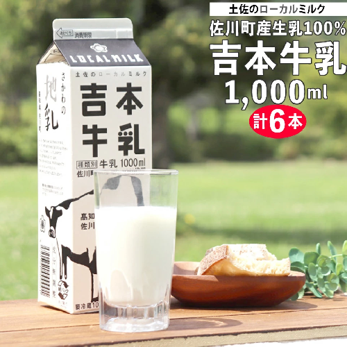 吉本牛乳（さかわの地乳 1L×6本セット） 吉本乳業 紙パック ぢちち 牛乳 地元の牛乳 NHKあさイチで紹介されました。 らんまん 1113381 - 高知県佐川町
