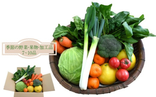 はちきんの店 野菜 セット 7~10品 野菜詰め合わせ 詰合せ 高知の野菜 旬の野菜 1113392 - 高知県佐川町