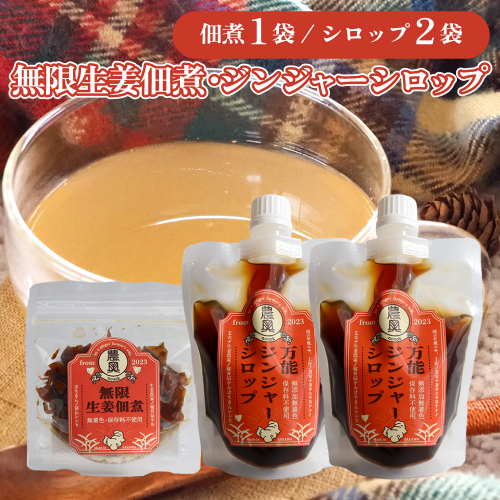 【佃煮1袋・シロップ2個】農家の嫁の生姜佃煮1袋70g ジンジャーシロップ200ml クラフトジンジャー 希釈 ごはんのお供（B） 1113410 - 高知県佐川町