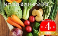 【年4回】高知から直送！旬の季節のお野菜定期便（7～10品）