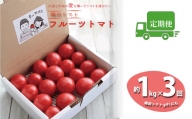 【3回定期便】フルーツトマト 1kg×3回『合計3kg』 織田トマト 高知 牧野富太郎博士の好物