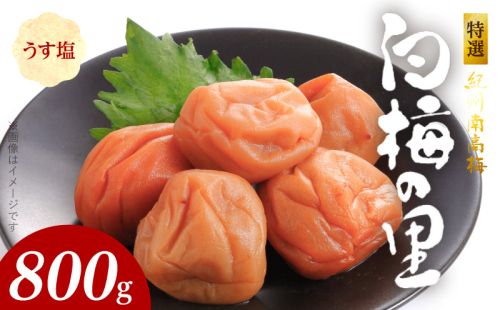 SF2000_特選紀州南高梅「白梅の里」うす塩味　800ｇ 1113766 - 和歌山県湯浅町