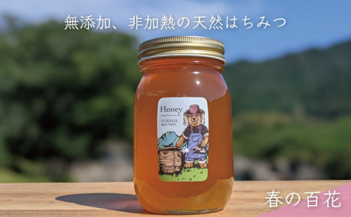 【先行予約 2025年6月20日より発送】合計600g 天然蜂蜜 国産蜂蜜 非加熱 生はちみつ 岐阜県 美濃市産 春 (蜂蜜600g入りガラス瓶1本)A5 深田養蜂のハチミツ 1114300 - 岐阜県美濃市