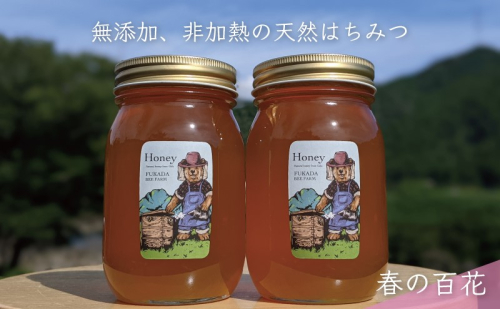 【先行予約 2025年6月20日より発送】合計1200g 天然蜂蜜 国産蜂蜜 非加熱 生はちみつ 岐阜県 美濃市産 春 (蜂蜜600g入りガラス瓶2本セット)A6 深田養蜂のハチミツ 1114301 - 岐阜県美濃市