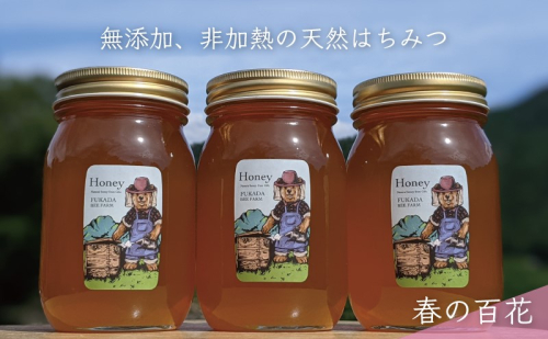 合計1800g 天然蜂蜜 国産蜂蜜 非加熱 生はちみつ 岐阜県 美濃市産 春 (蜂蜜600g入りガラス瓶3本セット)A7 1114302 - 岐阜県美濃市