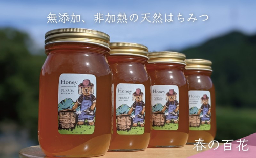 【先行予約 2025年6月20日より発送】合計2400g 天然蜂蜜 国産蜂蜜 非加熱 生はちみつ 岐阜県 美濃市産 春 (蜂蜜600g入りガラス瓶4本)A8 深田養蜂のハチミツ 1114303 - 岐阜県美濃市