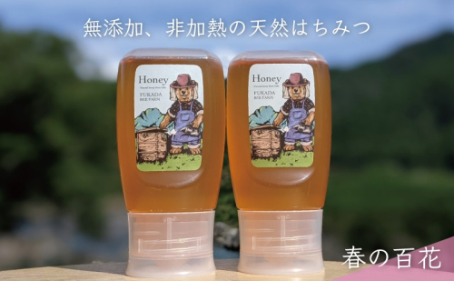 【先行予約 2025年6月20日より発送】合計600g 天然蜂蜜 国産蜂蜜 非加熱 生はちみつ 岐阜県 美濃市産 春 (蜂蜜300g入りピタッとボトル2本セット)A10 深田養蜂のハチミツ 1114304 - 岐阜県美濃市
