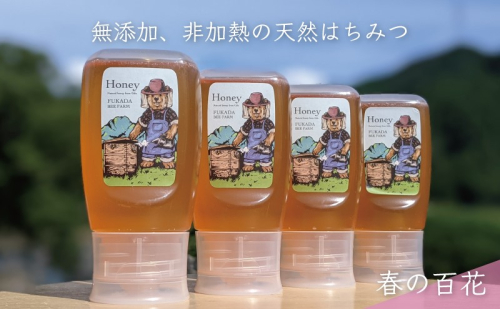 【先行予約 2025年6月20日より発送】合計1200g 天然蜂蜜 国産蜂蜜 非加熱 生はちみつ 岐阜県 美濃市産 春 (蜂蜜300g入りピタッとボトル4本セット)A12 深田養蜂のハチミツ 1114306 - 岐阜県美濃市