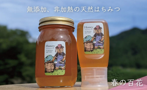 合計900g 天然蜂蜜 国産蜂蜜 非加熱 生はちみつ 岐阜県 美濃市産 春 (蜂蜜600g入りガラス瓶1本,蜂蜜300g入りピタッとボトル1本のセット)A15 1114309 - 岐阜県美濃市