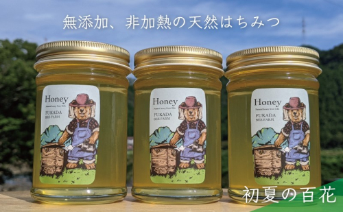 【先行予約 2025年6月20日より発送】合計690g 天然蜂蜜 国産蜂蜜 非加熱 生はちみつ 岐阜県 美濃市産 初夏 (蜂蜜230g入りガラス瓶3本セット)B3 深田養蜂のハチミツ 1114312 - 岐阜県美濃市