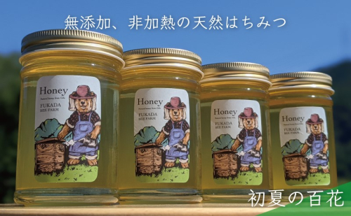 【先行予約 2025年6月20日より発送】合計920g 天然蜂蜜 国産蜂蜜 非加熱 生はちみつ 岐阜県 美濃市産 初夏 (蜂蜜230g入りガラス瓶4本)B4 深田養蜂のハチミツ 1114313 - 岐阜県美濃市