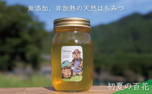 合計600g 天然蜂蜜 国産蜂蜜 非加熱 生はちみつ 岐阜県 美濃市産 初夏 (蜂蜜600g入りガラス瓶1本)B5 1114314 - 岐阜県美濃市