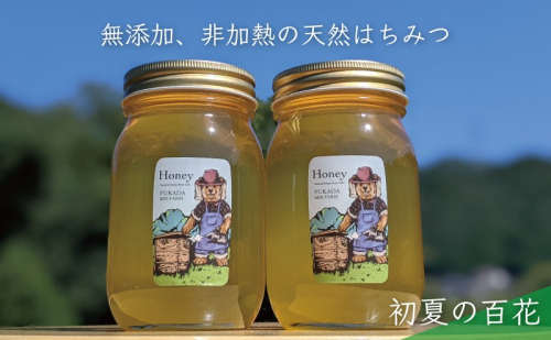 【先行予約 2025年6月20日より発送】合計1200g 天然蜂蜜 国産蜂蜜 非加熱 生はちみつ 岐阜県 美濃市産 初夏 (蜂蜜600g入りガラス瓶2本セット)B6 深田養蜂のハチミツ 1114315 - 岐阜県美濃市