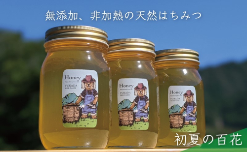 【先行予約 2025年6月20日より発送】合計1800g 天然蜂蜜 国産蜂蜜 非加熱 生はちみつ 岐阜県 美濃市産 初夏 (蜂蜜600g入りガラス瓶3本セット)B7 深田養蜂のハチミツ 1114316 - 岐阜県美濃市
