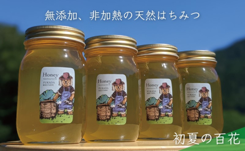 合計2400g 天然蜂蜜 国産蜂蜜 非加熱 生はちみつ 岐阜県 美濃市産 初夏 (蜂蜜600g入りガラス瓶4本)B8 1114317 - 岐阜県美濃市