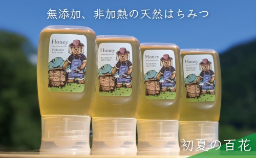 【先行予約 2025年6月20日より発送】合計1200g 天然蜂蜜 国産蜂蜜 非加熱 生はちみつ 岐阜県 美濃市産 初夏 (蜂蜜300g入りピタッとボトル4本セット)B12 深田養蜂のハチミツ 1114320 - 岐阜県美濃市