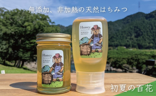 【先行予約 2025年6月20日より発送】合計530g 天然蜂蜜 国産蜂蜜 非加熱 生はちみつ 岐阜県 美濃市産 初夏 (蜂蜜230g入りガラス瓶1本、蜂蜜300g入りピタッとボトル1本のセット)B13 深田養蜂のハチミツ 1114321 - 岐阜県美濃市