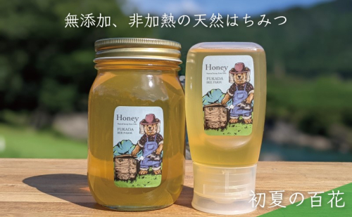 合計900g 天然蜂蜜 国産蜂蜜 非加熱 生はちみつ 岐阜県 美濃市産 初夏 (蜂蜜600g入りガラス瓶1本、蜂蜜300g入りピタッとボトル1本のセット)B15 1114323 - 岐阜県美濃市