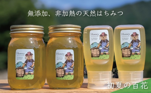 合計1800g 天然蜂蜜 国産蜂蜜 非加熱 生はちみつ 岐阜県 美濃市産 初夏 (蜂蜜600g入りガラス瓶2本、蜂蜜300g入りピタッとボトル2本のセット)B16 1114324 - 岐阜県美濃市