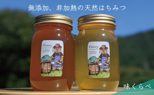 【先行予約 2025年6月20日より発送】合計1200g 天然蜂蜜 国産蜂蜜 非加熱 生はちみつ 岐阜県 美濃市産 味比べ 蜂蜜600g入りガラス瓶 2本セットC3 深田養蜂のハチミツ 1114327 - 岐阜県美濃市