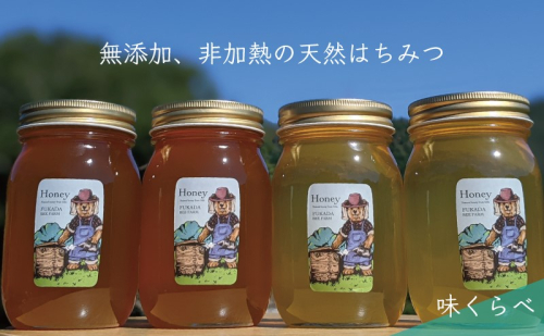 【先行予約 2025年6月20日より発送】合計2400g 天然蜂蜜 国産蜂蜜 非加熱 生はちみつ 岐阜県 美濃市産 味比べ 蜂蜜600g入りガラス瓶 4本セットC4 深田養蜂のハチミツ 1114329 - 岐阜県美濃市