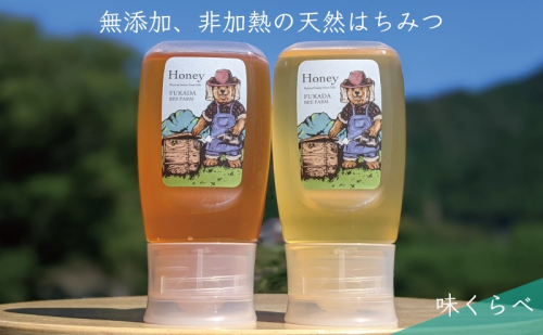 【先行予約 2025年6月20日より発送】合計600g 天然蜂蜜 国産蜂蜜 非加熱 生はちみつ 岐阜県 美濃市産 味比べ 蜂蜜300g入りピタッとボトル2本セットC5 深田養蜂のハチミツ 1114330 - 岐阜県美濃市