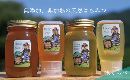 【先行予約 2025年6月20日より発送】合計1800g 天然蜂蜜 国産蜂蜜 非加熱 生はちみつ 岐阜県 美濃市産 味比べセット (蜂蜜600g入りガラス瓶各2本、蜂蜜300g入りピタッとボトル各2本)C8 深田養蜂のハチミツ 1114333 - 岐阜県美濃市