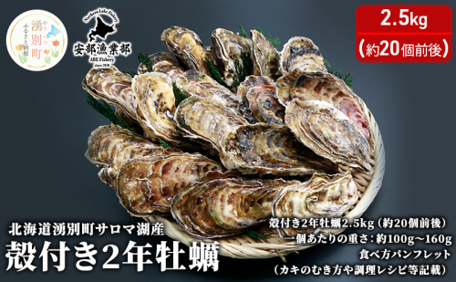 【国内消費拡大求む】 北海道 湧別町 サロマ湖産 殻付き 2年 牡蠣 2.5kg（約20個前後） かき カキ 国産 貝付き 生食 焼き牡蠣 蒸し牡蠣 冷蔵 産地直送 魚貝類 生牡蠣 海の幸 海鮮 殻付き牡蠣 オイスター  1114352 - 北海道湧別町