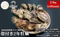 【国内消費拡大求む】北海道 湧別町 サロマ湖産 殻付き 2年牡蠣 2.5kg（約20個前後）