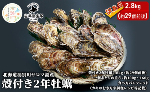 【国内消費拡大求む】訳あり 北海道 湧別町 サロマ湖産 殻付き 2年 牡蠣 2.8kg（約29個前後） かき カキ 魚介 国産 貝付き 生食 焼き牡蠣 蒸し牡蠣 冷蔵 魚貝類 生牡蠣 海の幸 海鮮 殻付き牡蠣 オイスター  1114353 - 北海道湧別町