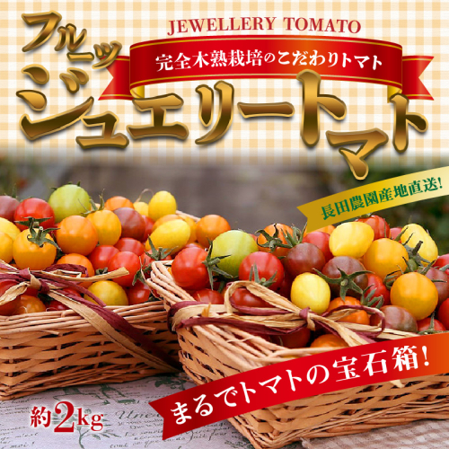 【2026年度予約分】増量約2kg！まるでトマトの宝石箱！フルーツジュエリートマト 4月～6月発送 長田農園 産地直送 カラフル トマト とまと 野菜 やさい フルーツ サラダ 濃厚 甘い ご褒美 プレゼント 美容 健康 リピート多数 人気 高評価 先行受付 数量限定 碧南市 H004-146 111473 - 愛知県碧南市