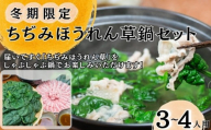 【冬季限定】 東松島産 ちぢみほうれん草 鍋セット  ほうれんそう ホウレンソウ 鍋 なべ  オンラインワンストップ 自治体マイページ 【2025年12月5日 初回発送開始予定】