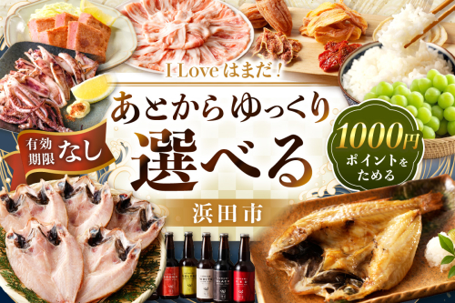 ≪1口・1,000円≫島根県浜田市ポイントをためる あとから返礼品を選ぶ【浜田市】 あとから選べる 選べる 選ぶ あとから 【140_1538】 1115299 - 島根県浜田市