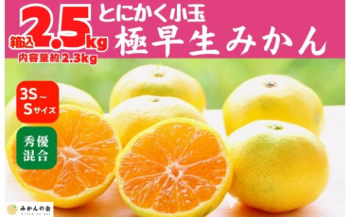 小玉みかん 極早生 箱込 2.5kg (内容量約 2.3kg) 3S～Sサイズ混合 秀品 優品 混合 有田みかん 和歌山県産 【みかんの会】［2026年10月上旬頃より順次発送予定］ 1115648 - 和歌山県有田川町